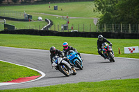 Lower Group Blue Bikes